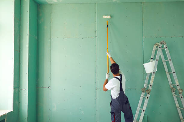 Best Mold Odor Removal Services  in Ball, LA
