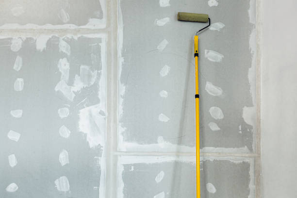Best Forensic Mold Investigation  in Ball, LA