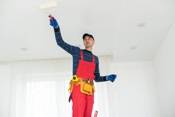 Best Basement Mold Removal  in Ball, LA