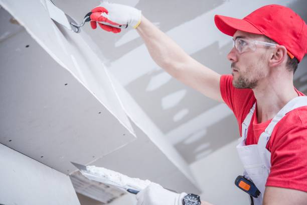 Reliable Ball, LA Mold Removal Solutions